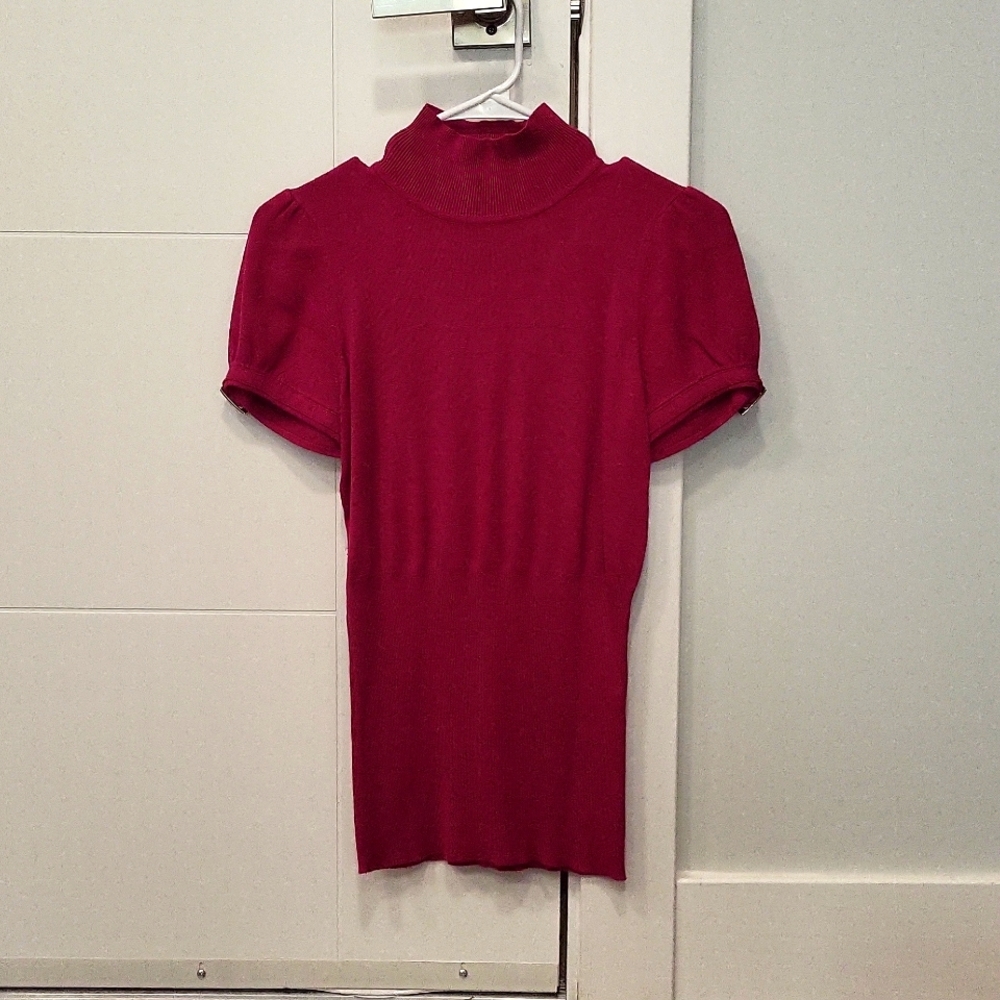 Express Short Bell Sleeve Turtleneck Sweater